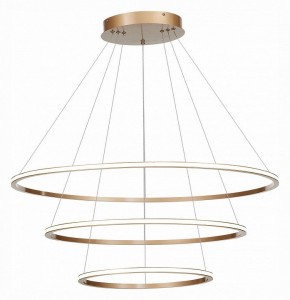 Подвесной светильник ST-Luce ST604 OUT ST604.243.114 в Дегтярске - degtyarsk.mebel24.online | фото 3