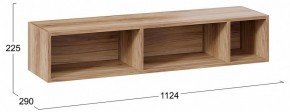 Полка навесная ТД-102.28 в Дегтярске - degtyarsk.mebel24.online | фото 9