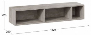 Полка навесная ТД-102.28 в Дегтярске - degtyarsk.mebel24.online | фото 8