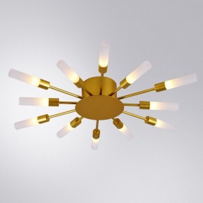 Потолочная люстра Arte Lamp Maple A1276PL-12GO в Дегтярске - degtyarsk.mebel24.online | фото 1