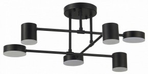 Потолочная люстра EVOLUCE Nobel SLE201042-06 в Дегтярске - degtyarsk.mebel24.online | фото 11