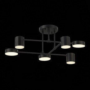 Потолочная люстра EVOLUCE Nobel SLE201042-06 в Дегтярске - degtyarsk.mebel24.online | фото 13