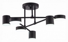 Потолочная люстра EVOLUCE Nobel SLE201042-06 в Дегтярске - degtyarsk.mebel24.online | фото 5