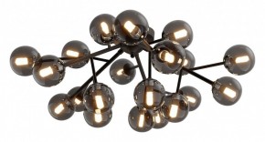 Потолочная люстра Maytoni Dallas MOD545CL-20B в Дегтярске - degtyarsk.mebel24.online | фото 2