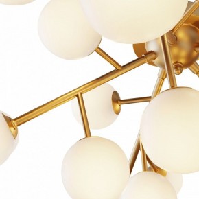 Потолочная люстра Maytoni Dallas MOD545CL-20BS в Дегтярске - degtyarsk.mebel24.online | фото 2