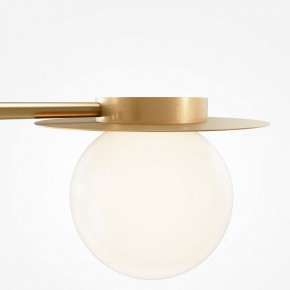 Потолочная люстра Maytoni Star sky MOD291CL-04BS в Дегтярске - degtyarsk.mebel24.online | фото 5