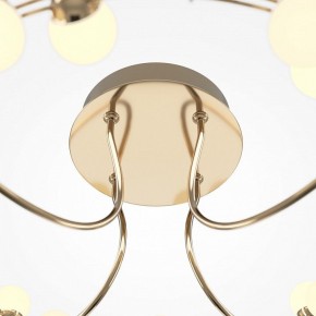 Потолочная люстра Maytoni Tessara MOD081CL-L36G3K в Дегтярске - degtyarsk.mebel24.online | фото 4