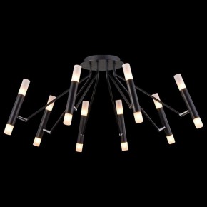 Потолочная люстра Maytoni Vigo MOD620CL-16B в Дегтярске - degtyarsk.mebel24.online | фото 4