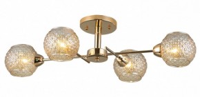Потолочная люстра Rivoli Amalia Б0050815 в Дегтярске - degtyarsk.mebel24.online | фото 3