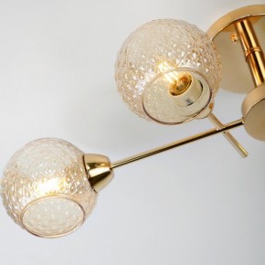 Потолочная люстра Rivoli Amalia Б0050815 в Дегтярске - degtyarsk.mebel24.online | фото 8
