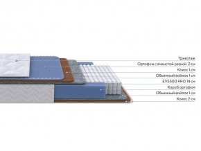 PROxSON Матрас Active Duo M/F (Ткань Трикотаж Эко) 120x190 в Дегтярске - degtyarsk.mebel24.online | фото 2