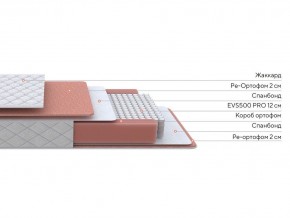 PROxSON Матрас Base M (Ткань Синтетический жаккард) 160x200 в Дегтярске - degtyarsk.mebel24.online | фото 2