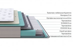 PROxSON Матрас Elysium Soft (Трикотаж Spiral-RT) 80x190 в Дегтярске - degtyarsk.mebel24.online | фото 2
