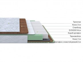 PROxSON Матрас Green Duo M/F (Tricotage Dream) 140x195 в Дегтярске - degtyarsk.mebel24.online | фото 2