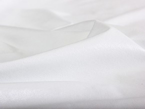 PROxSON Защитный чехол Aqua Save S (Ткань влагостойкая Terry Cloth) 140x190 в Дегтярске - degtyarsk.mebel24.online | фото 7
