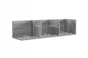 РИЧ Полка навесная 2 в Дегтярске - degtyarsk.mebel24.online | фото 3