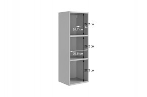 РИЧ Шкаф навесной в Дегтярске - degtyarsk.mebel24.online | фото 3
