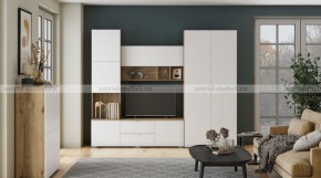 МИЛАН-1 Секция ТВ (ЦРК.МЛН.01 секция ТВ) в Дегтярске - degtyarsk.mebel24.online | фото 3
