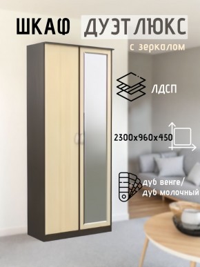 Шкаф 2-х створчатый Дуэт Люкс с зеркалом в Дегтярске - degtyarsk.mebel24.online | фото