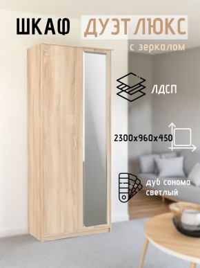 Шкаф 2-х створчатый Дуэт Люкс с зеркалом в Дегтярске - degtyarsk.mebel24.online | фото 7