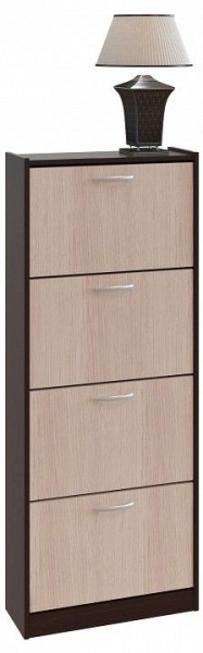 Шкаф для обуви ТО-24 в Дегтярске - degtyarsk.mebel24.online | фото