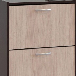 Шкаф для обуви ТО-24 в Дегтярске - degtyarsk.mebel24.online | фото 4
