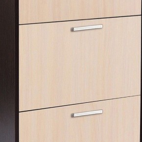 Шкаф для обуви УК-4 в Дегтярске - degtyarsk.mebel24.online | фото 2