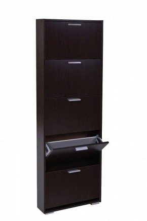 Шкаф для обуви УК-5 10000130 в Дегтярске - degtyarsk.mebel24.online | фото