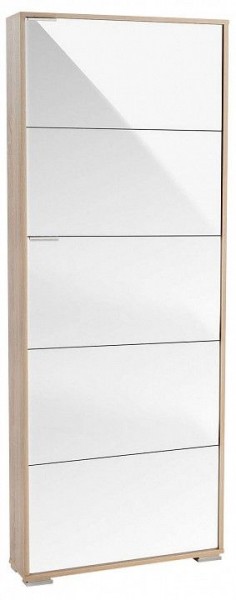 Шкаф для обуви Viva-5LW в Дегтярске - degtyarsk.mebel24.online | фото