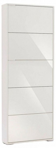 Шкаф для обуви Viva-5S в Дегтярске - degtyarsk.mebel24.online | фото