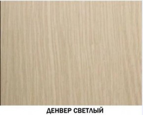 Шкаф для одежды №614 "Инна" Денвер светлый (*без полок) в Дегтярске - degtyarsk.mebel24.online | фото 2