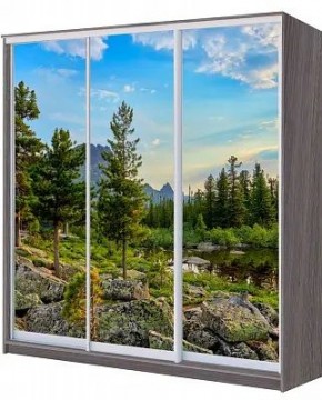 Шкаф-купе ХИТ 22-20/2-777 ПРИРОДА в Дегтярске - degtyarsk.mebel24.online | фото