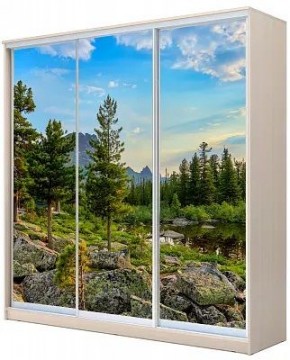 Шкаф-купе ХИТ 22-20-777 ПРИРОДА в Дегтярске - degtyarsk.mebel24.online | фото