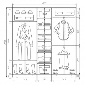 Шкаф-купе ХИТ 22-4-20-222 (420) в Дегтярске - degtyarsk.mebel24.online | фото 2