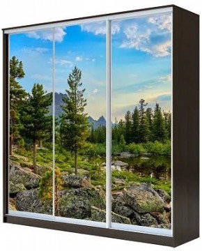 Шкаф-купе ХИТ 23-20-777 ПРИРОДА в Дегтярске - degtyarsk.mebel24.online | фото