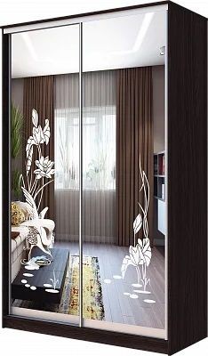 Шкаф-купе ХИТ 23-4-12/2-66 ЦАПЛИ в Дегтярске - degtyarsk.mebel24.online | фото