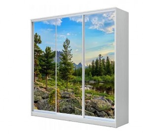 Шкаф-купе ХИТ 23-4-20-777 (420) в Дегтярске - degtyarsk.mebel24.online | фото