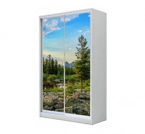 Шкаф-купе ХИТ 24-12/2-77 (620) в Дегтярске - degtyarsk.mebel24.online | фото