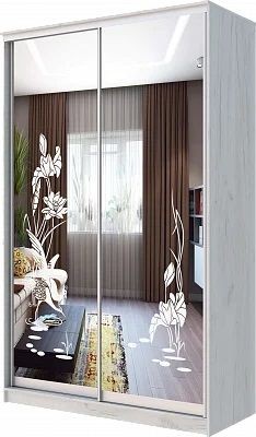 Шкаф-купе ХИТ 24-14-66 ЦАПЛИ в Дегтярске - degtyarsk.mebel24.online | фото