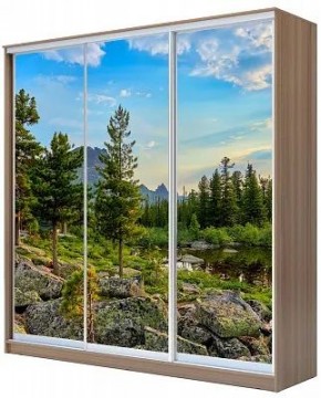 Шкаф-купе ХИТ 24-20/2-777 ПРИРОДА в Дегтярске - degtyarsk.mebel24.online | фото