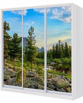 Шкаф-купе ХИТ 24-20-777 ПРИРОДА в Дегтярске - degtyarsk.mebel24.online | фото