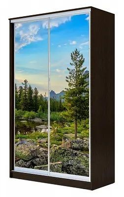 Шкаф-купе ХИТ 24-4-14-77 ПРИРОДА в Дегтярске - degtyarsk.mebel24.online | фото