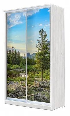 Шкаф-купе ХИТ 24-4-15-77 ПРИРОДА в Дегтярске - degtyarsk.mebel24.online | фото