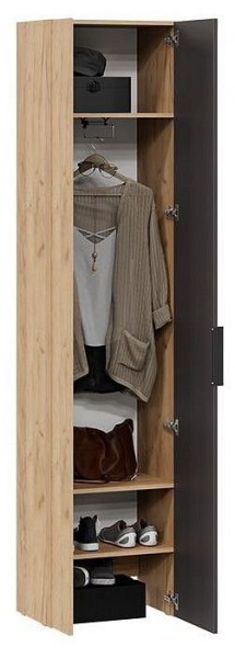 Шкаф платяной Асти в Дегтярске - degtyarsk.mebel24.online | фото 3