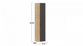 Шкаф платяной Асти в Дегтярске - degtyarsk.mebel24.online | фото 6