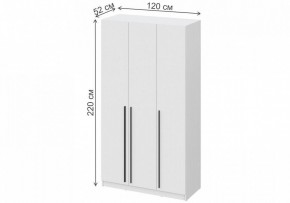 Шкаф платяной Бирма ШК-1200 в Дегтярске - degtyarsk.mebel24.online | фото 4