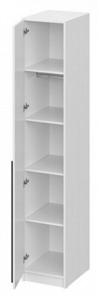 Шкаф платяной Бирма ШК-400 в Дегтярске - degtyarsk.mebel24.online | фото 2