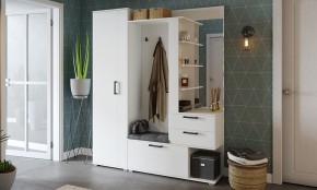 Шкаф платяной Эрика в Дегтярске - degtyarsk.mebel24.online | фото 3