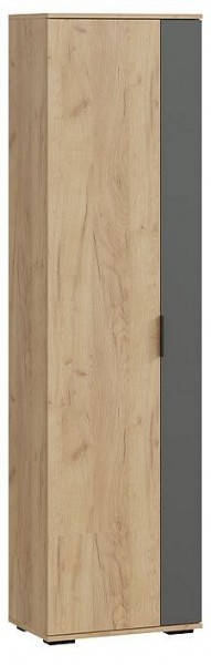 Шкаф платяной Эвита в Дегтярске - degtyarsk.mebel24.online | фото