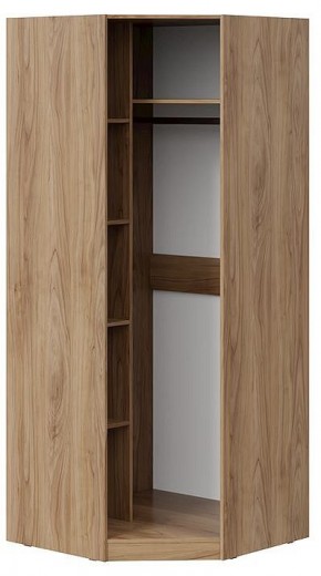 Шкаф платяной Глосс СМ-319.07.312 в Дегтярске - degtyarsk.mebel24.online | фото 2